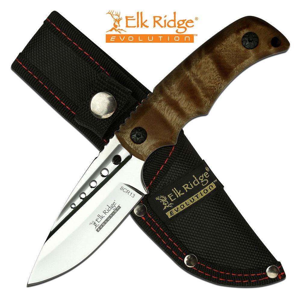 Elk Ridge Evolution Mirror Polished Fixed Blade Knife - Maple Burl Wood Handle #ere-Fix022-Bw - Xhunter New Zealand