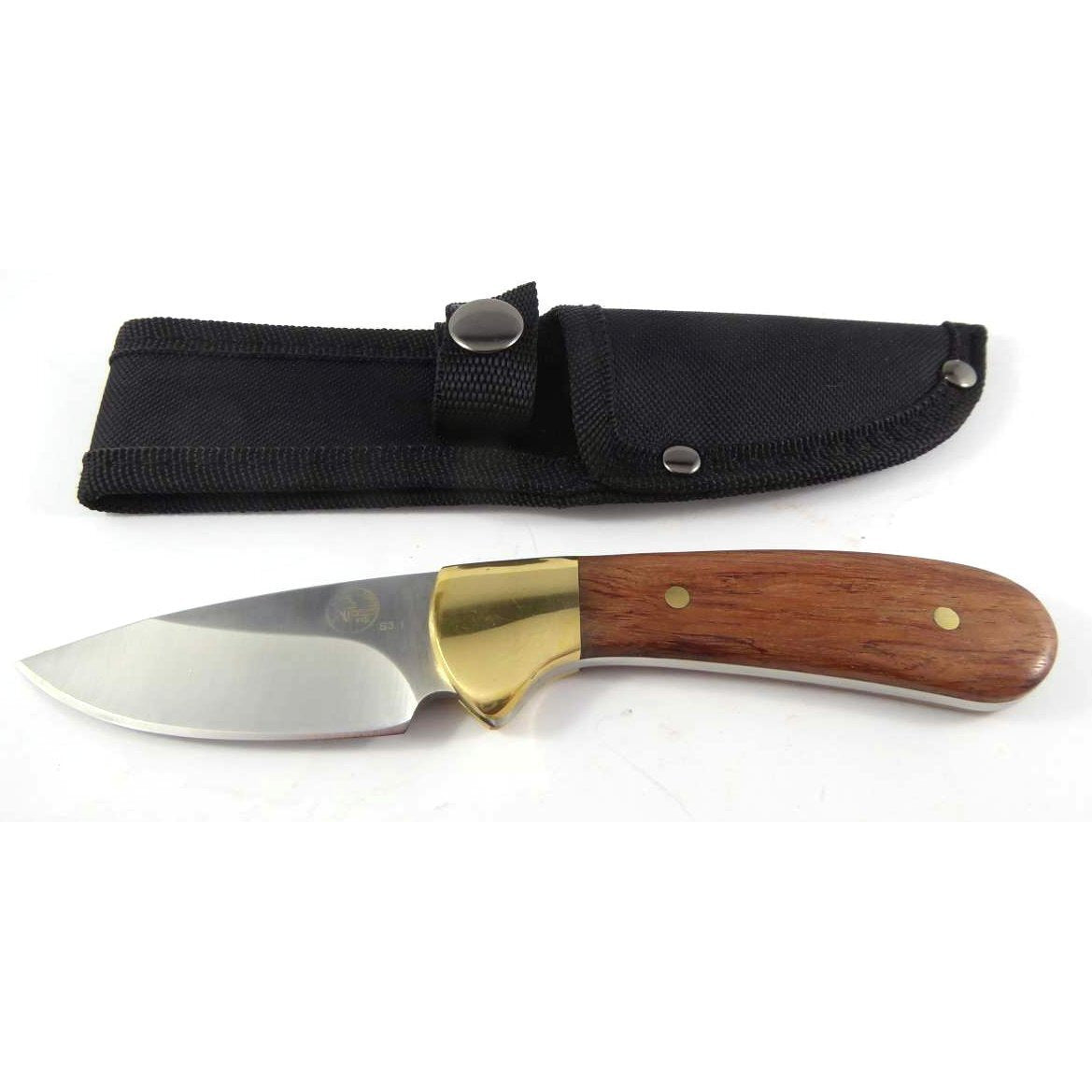Tassie Tiger Knives Tassie Tiger 3 Inch Fixed Blade Skinner Hunting Knife - Nylon Sheath #s3.1N Saddle Brown