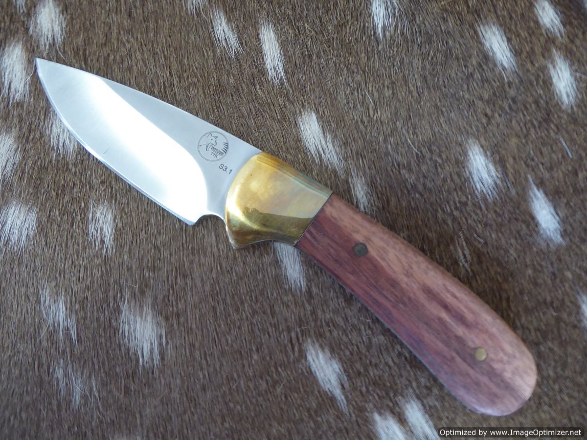 Tassie Tiger Knives Tassie Tiger 3 Inch Fixed Blade Skinner Hunting Knife - Nylon Sheath #s3.1N Tan