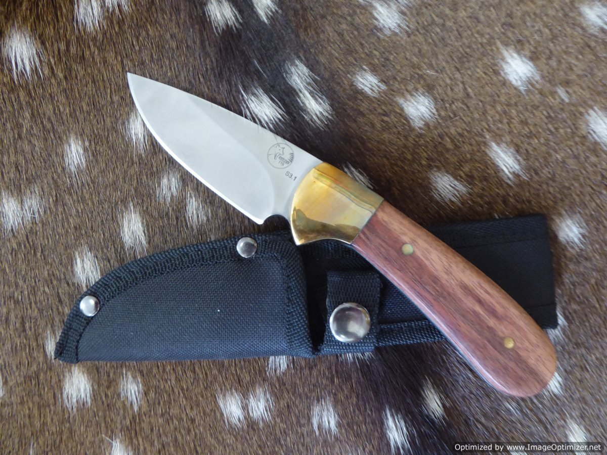 Tassie Tiger Knives Tassie Tiger 3 Inch Fixed Blade Skinner Hunting Knife - Nylon Sheath #s3.1N Dark Slate Gray