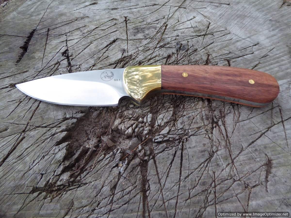 Tassie Tiger Knives Tassie Tiger 3 Inch Fixed Blade Skinner Hunting Knife - Nylon Sheath #s3.1N Dark Slate Gray